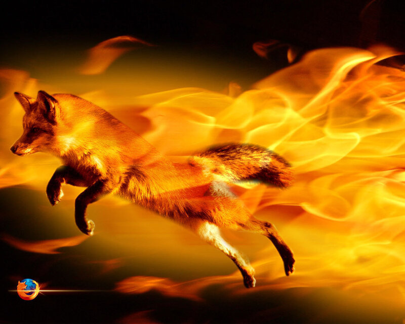 fox running through fire