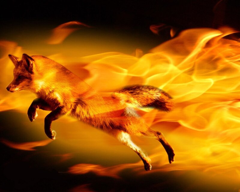 Fox Running Through Fire — Orange, Dramatic, Digital Art