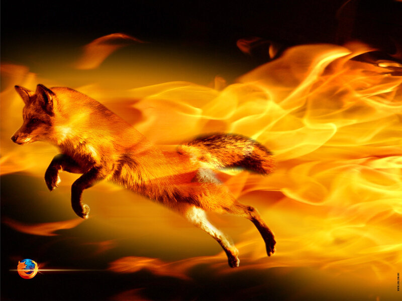 Fox Running Through Fire — Orange, Dramatic