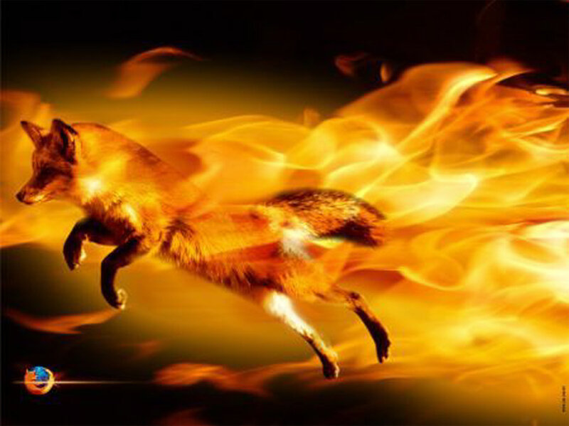 Fox Running Through Fire — Orange