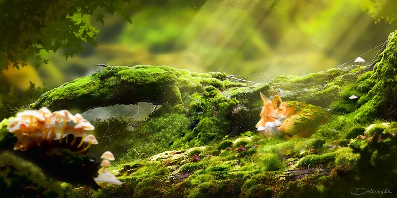 Fox Sleeping on Moss — Green
