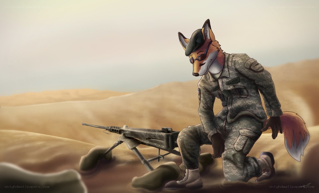 fox soldier in desert