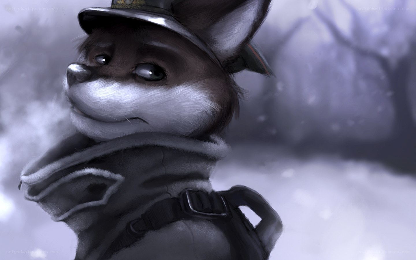 fox soldier in winter