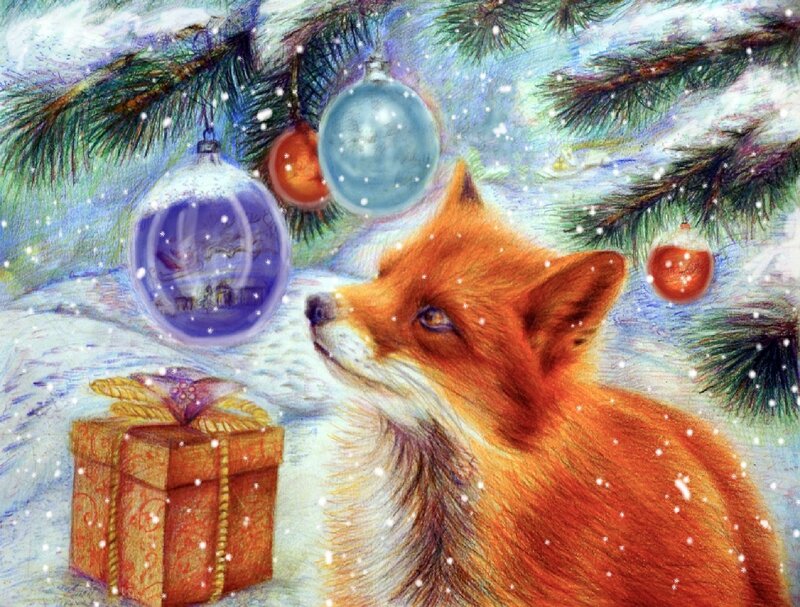 Fox under Pine Tree