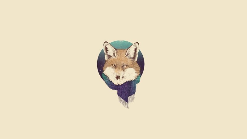 Fox Wearing Scarf
