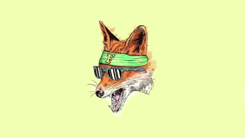Fox Wearing Sunglasses