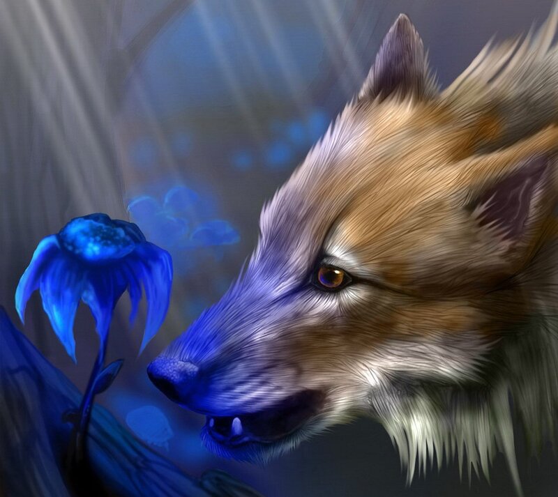 fox with blue flower