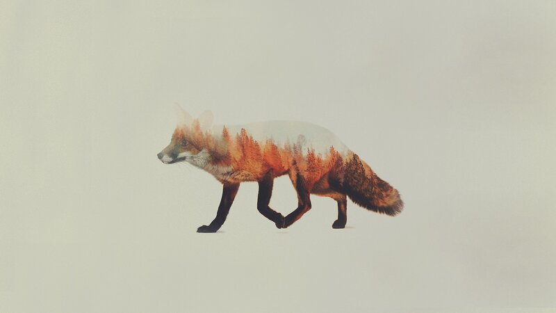 Fox with Forest Overlay