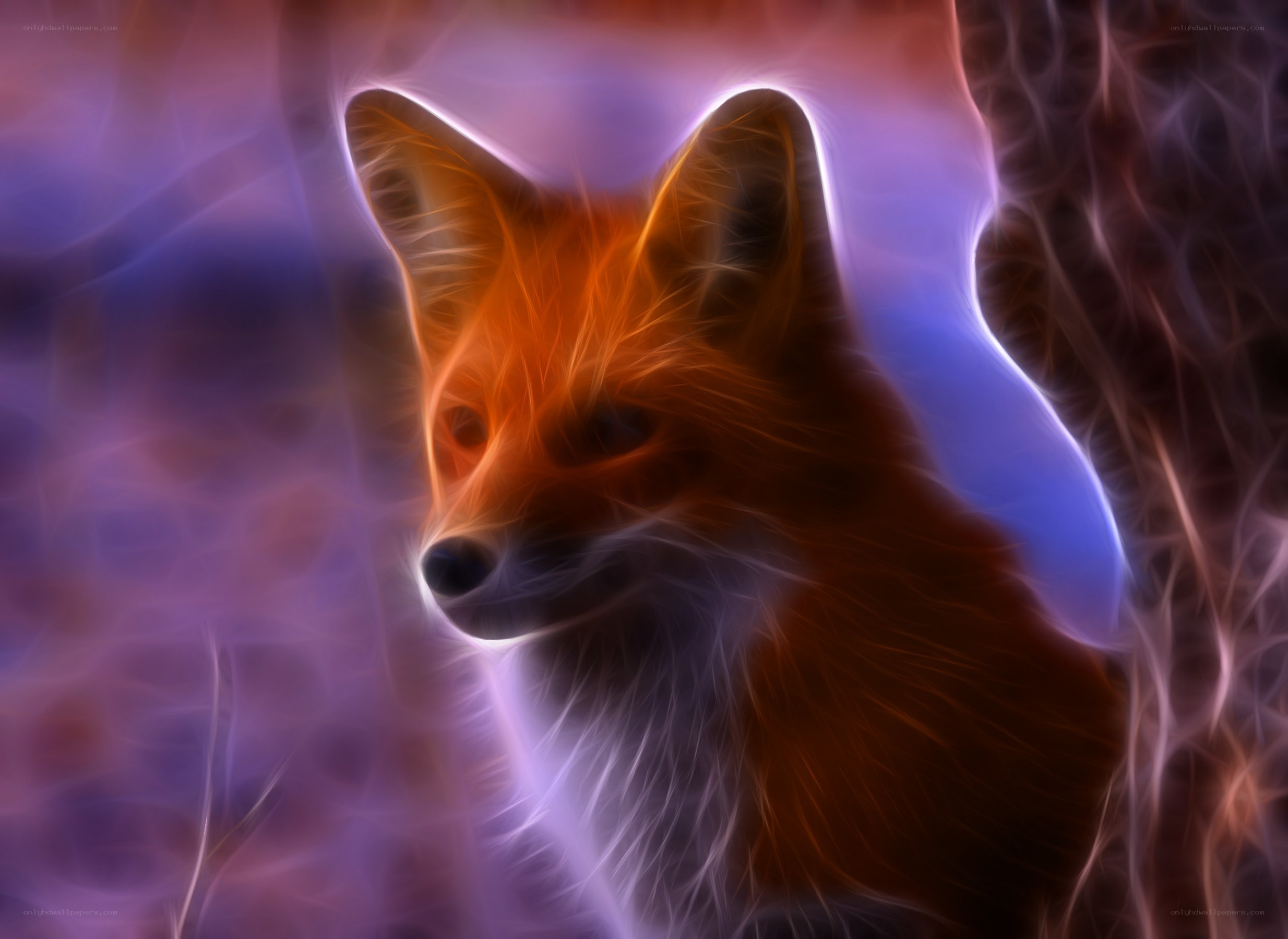 Fox with glowing aura