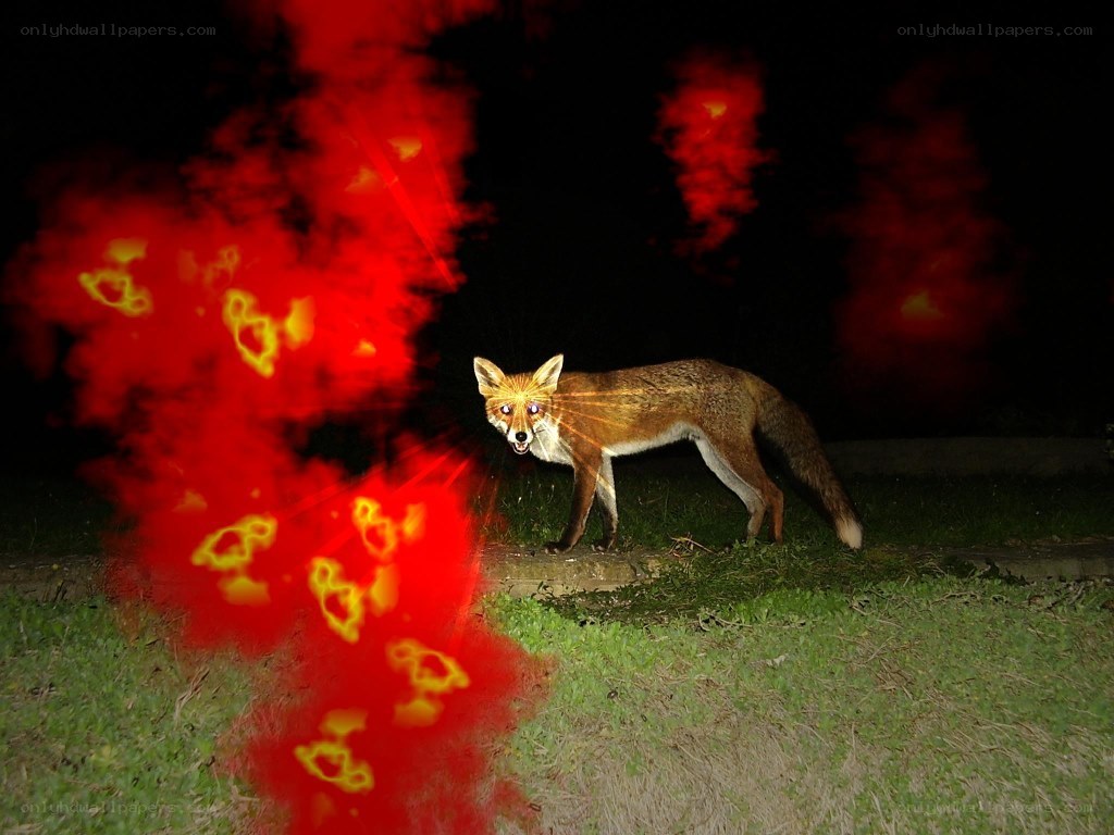 Fox with red energy effects