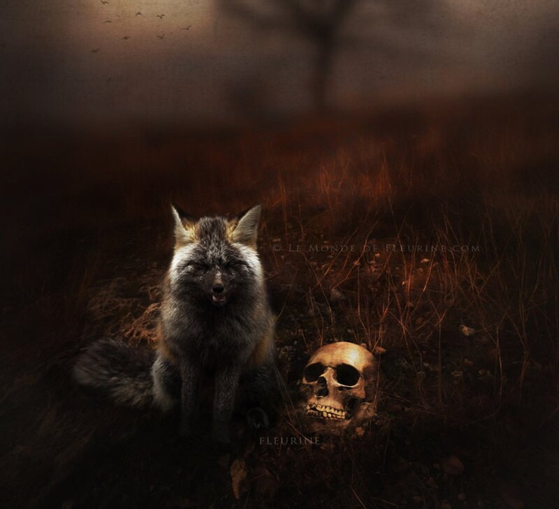 Fox with Skull