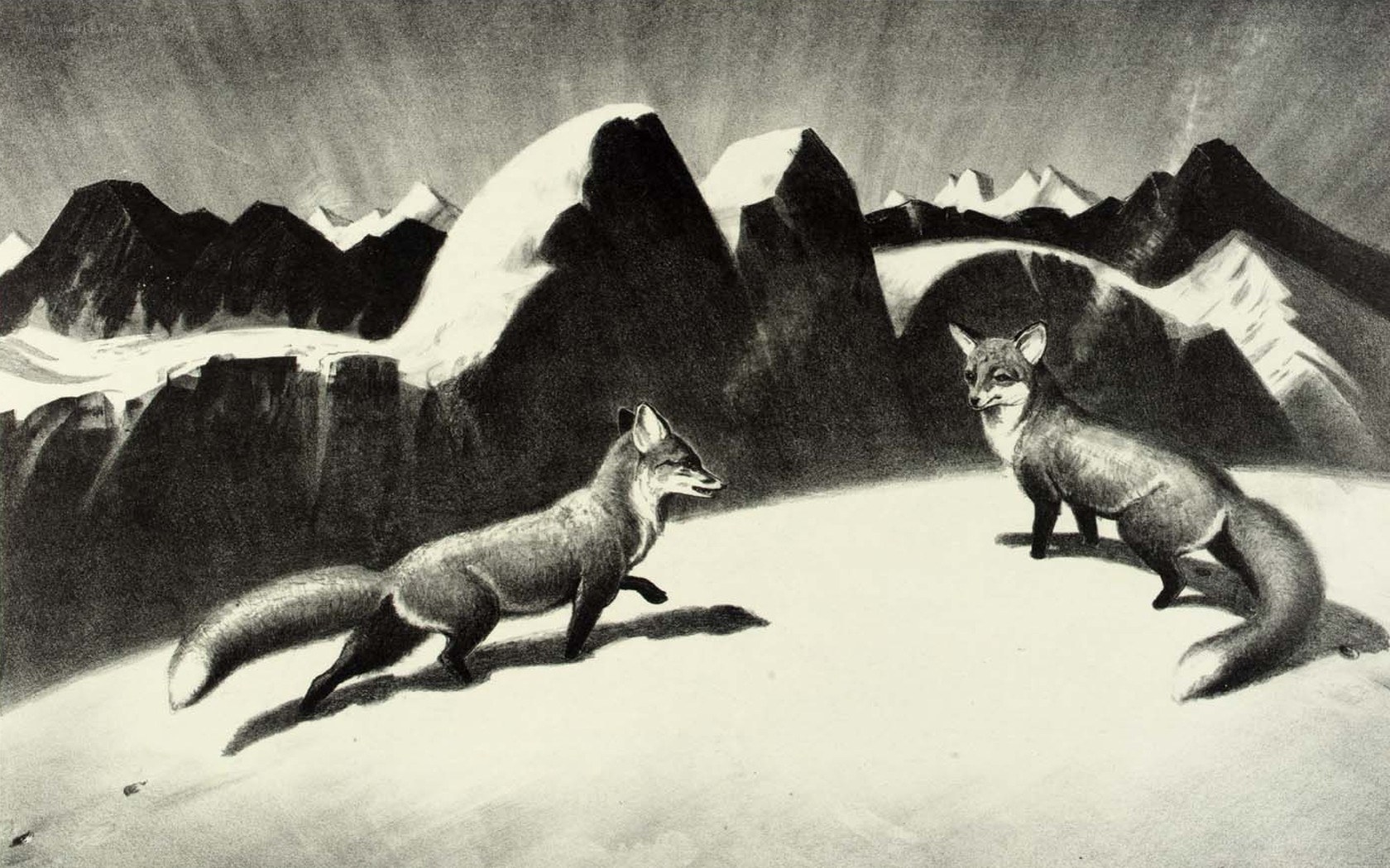 Foxes in a snowy landscape
