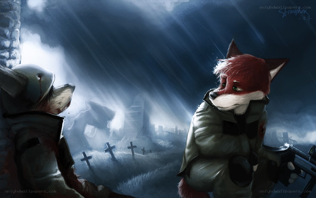 Foxes in a war-torn graveyard