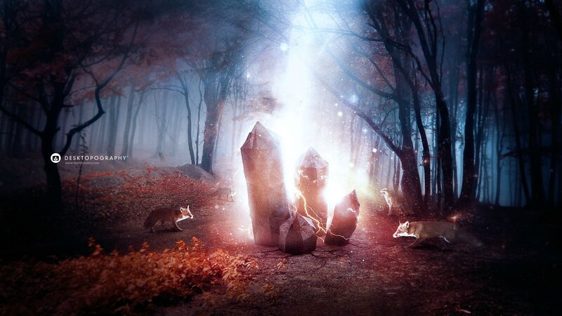 Foxes in Forest — Brown
