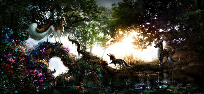 Foxes in Forest