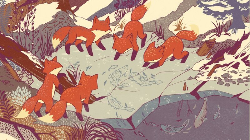 Foxes Near a Stream