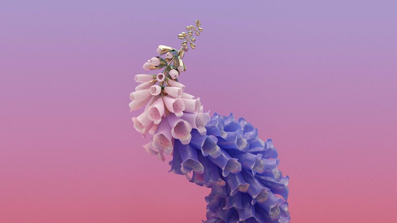 Foxglove Flower Cluster
