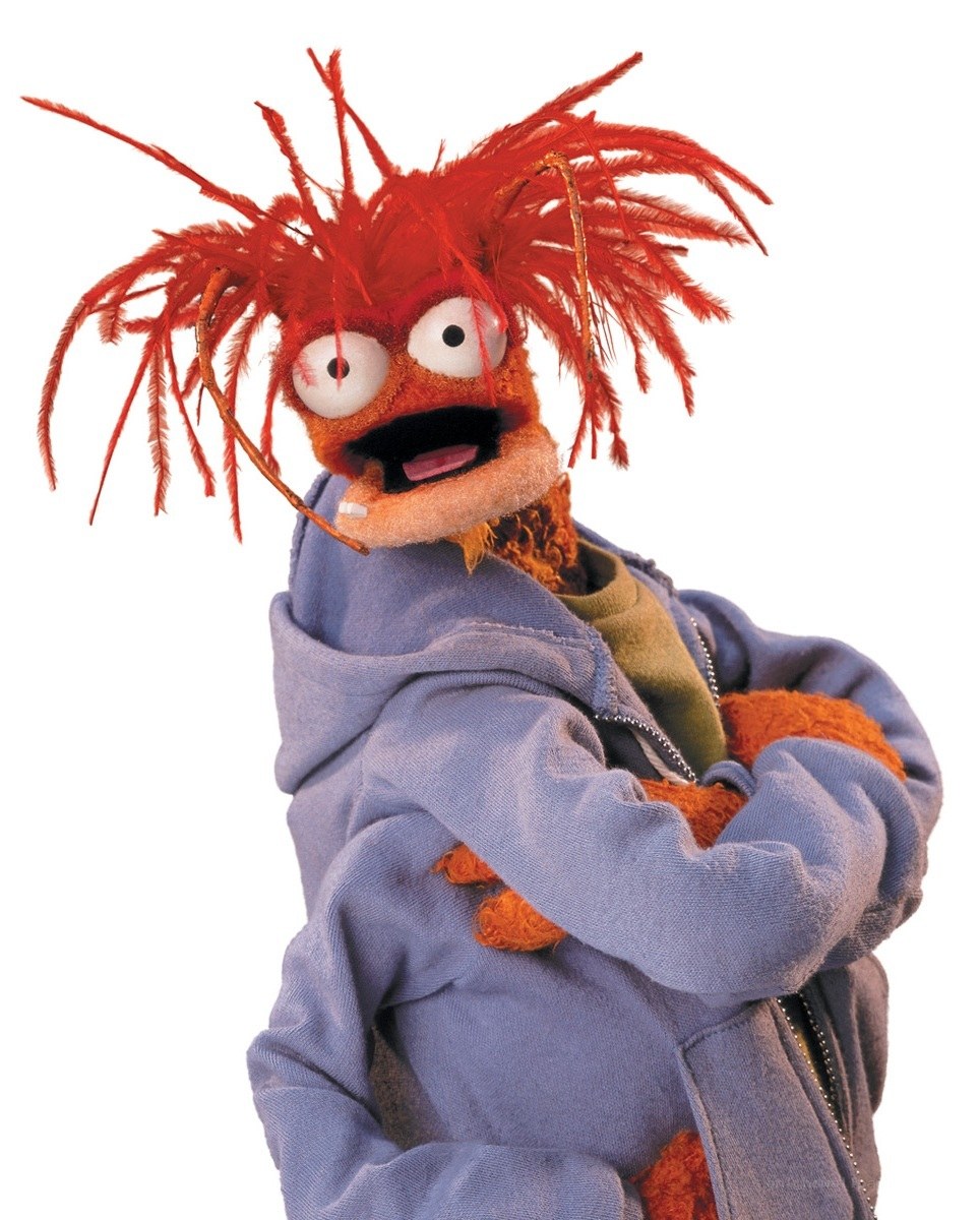 Fozzie Bear in a hoodie