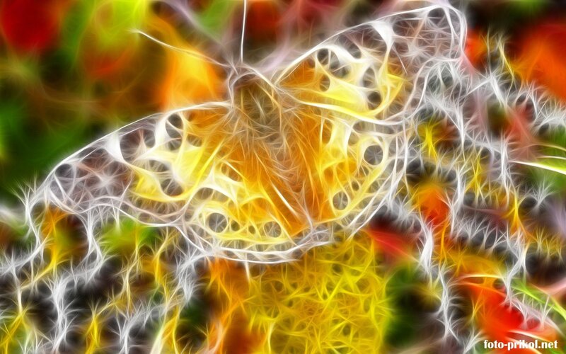fractal abstract nature