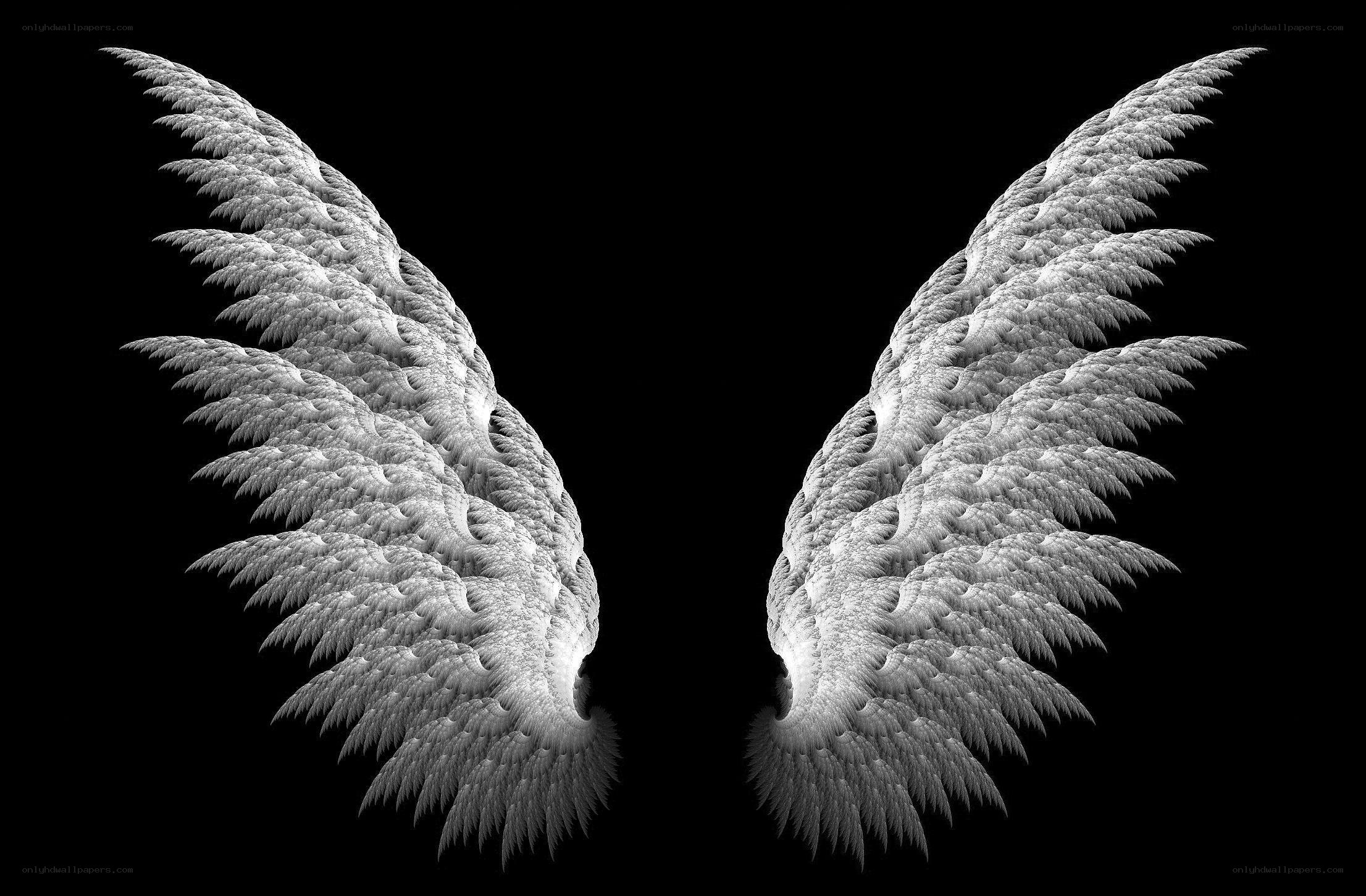 Fractal angel wings