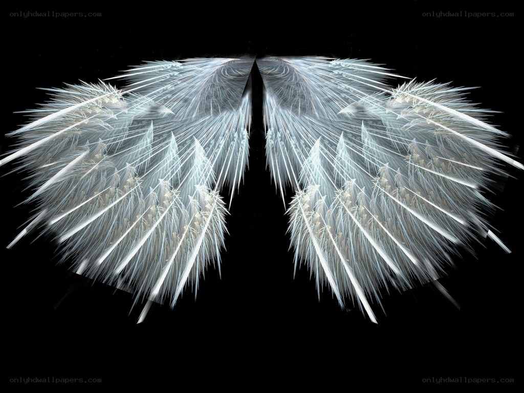 Fractal angel wings