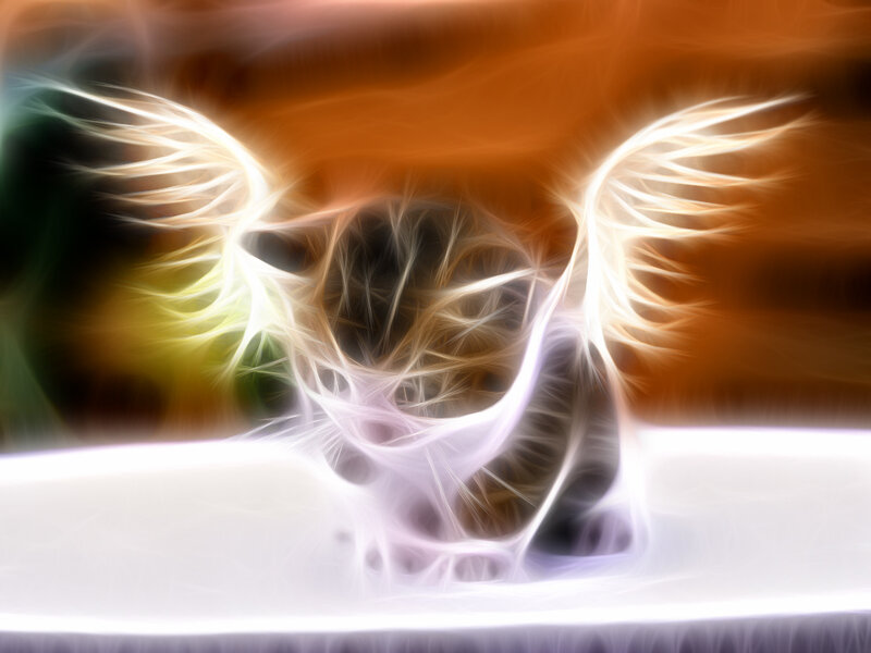 Fractal Angel Wings — White