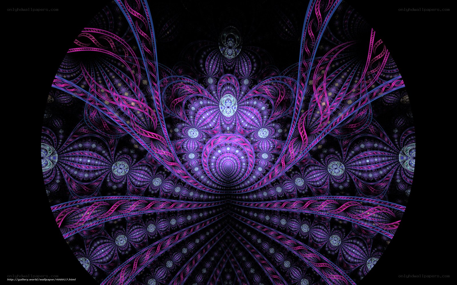 Fractal Art Design