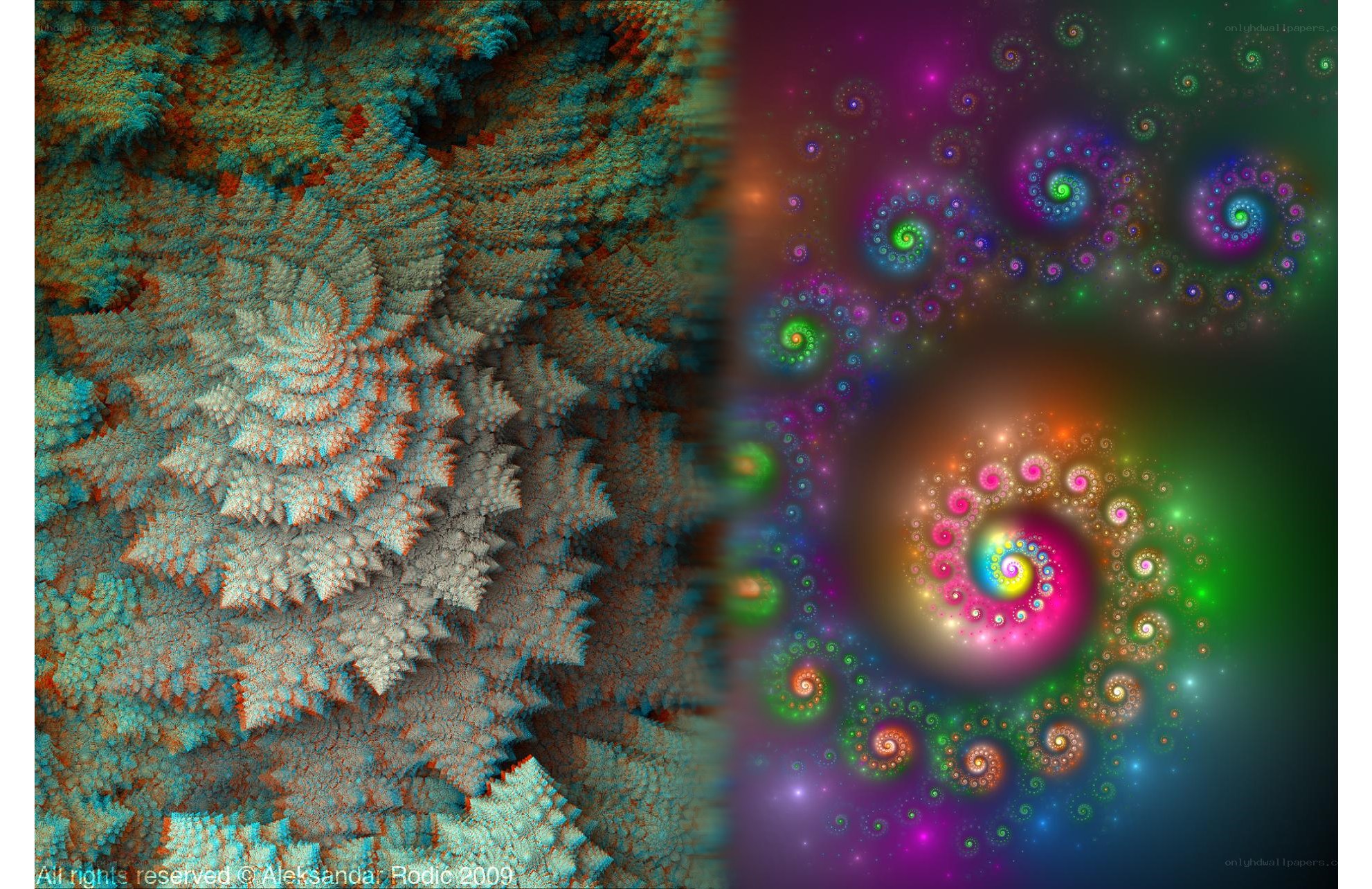 Fractal Art Split Design