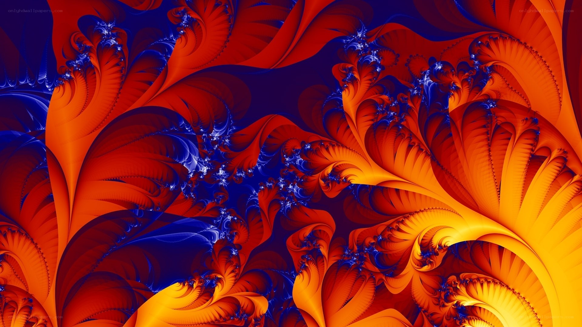 Fractal art with red and blue swirls