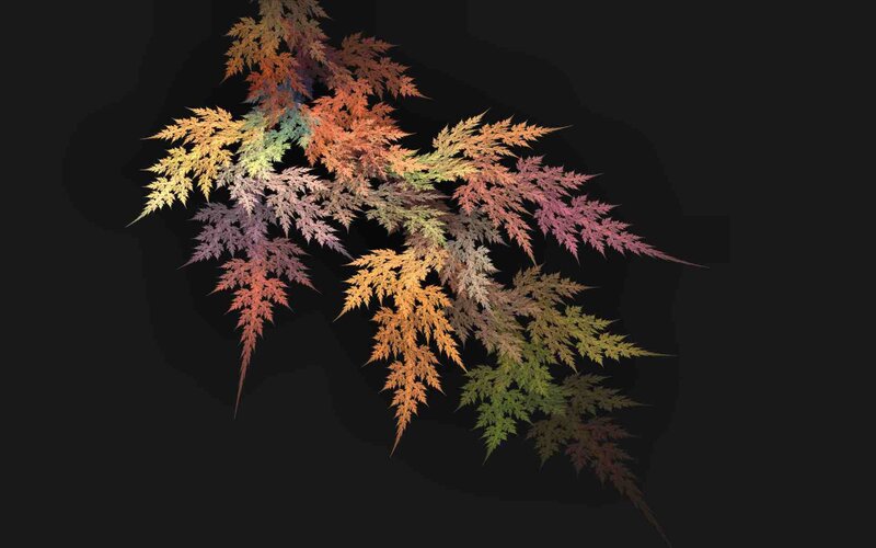 Fractal Autumn Leaves — Orange, Calm