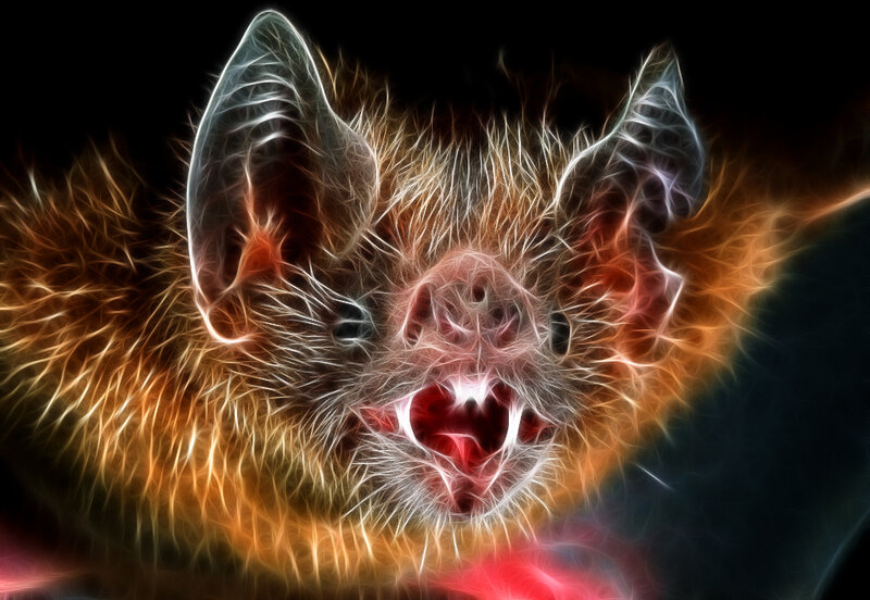 fractal bat portrait