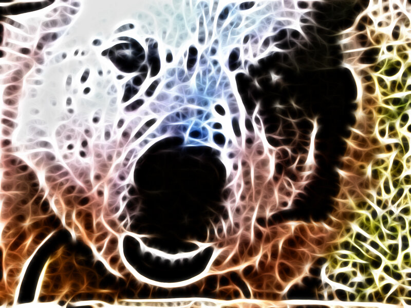 fractal bear face art