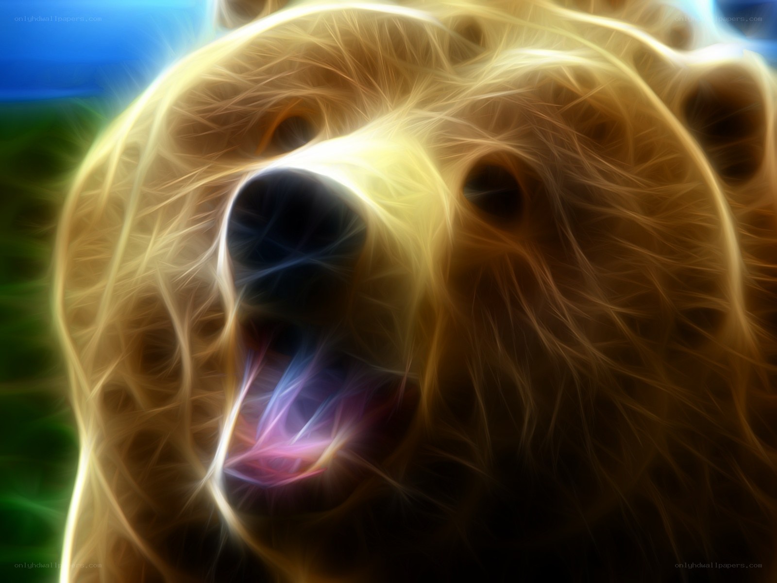 fractal bear head close-up