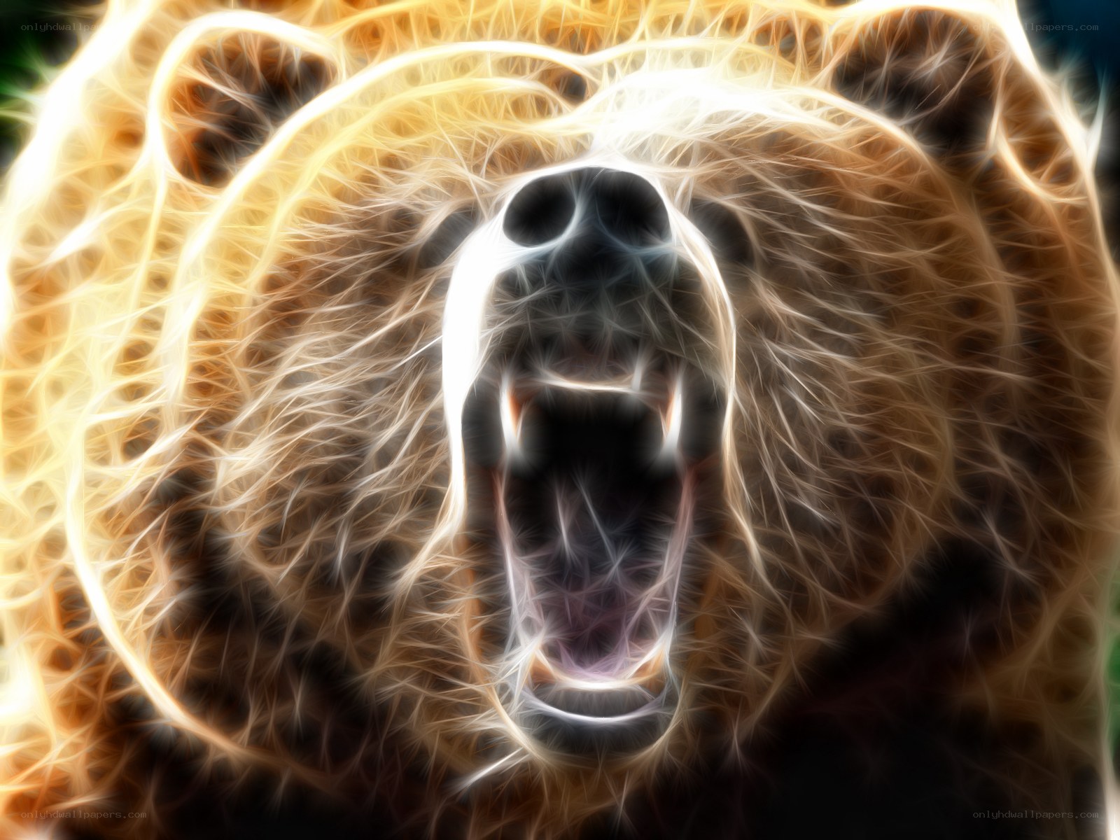fractal bear roar