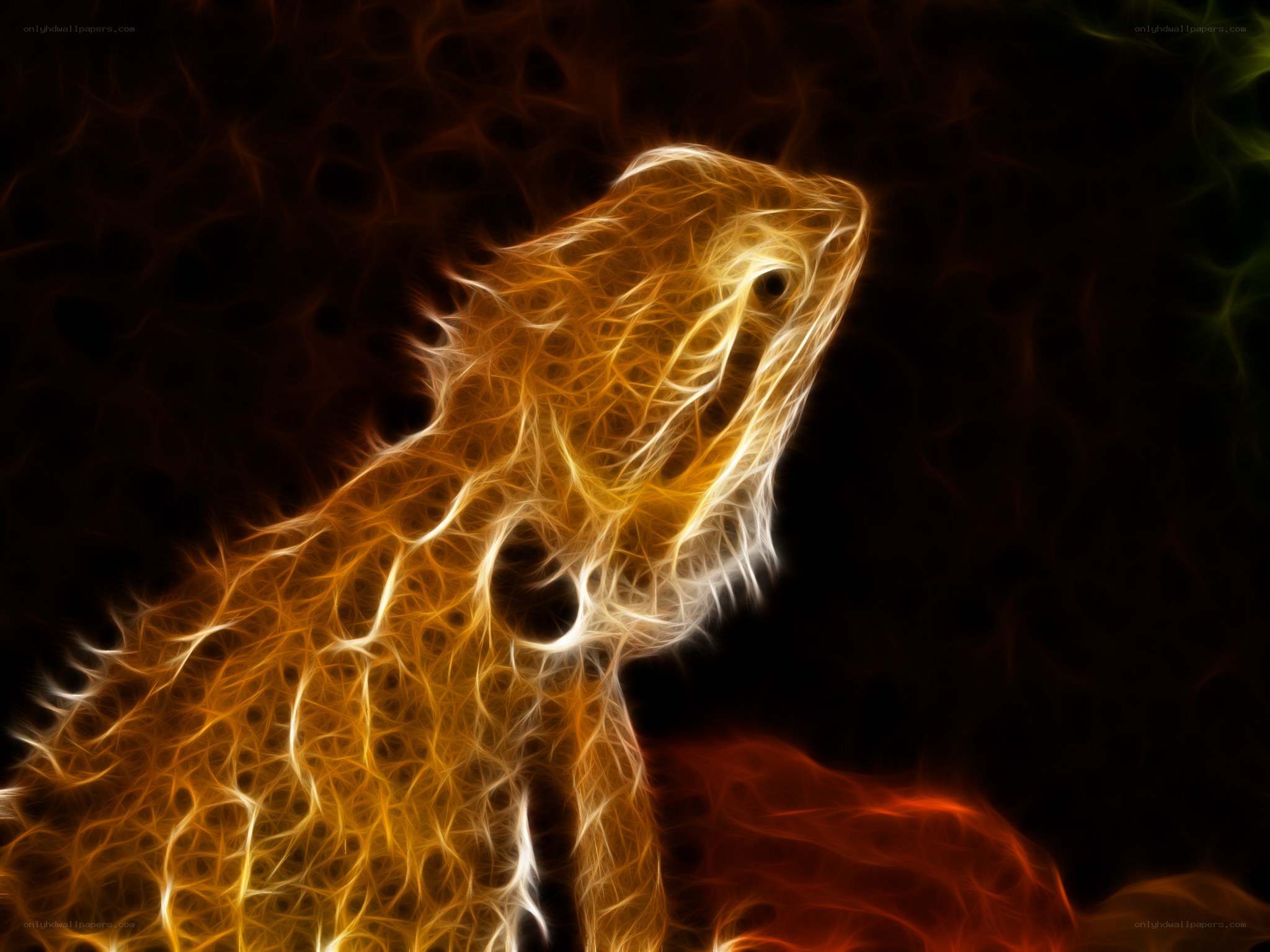 fractal bearded dragon