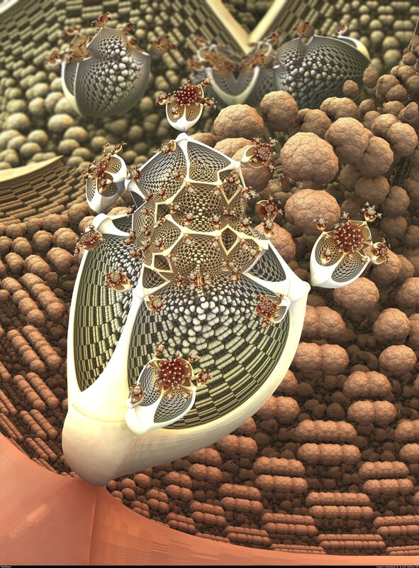 Fractal Biological Structures