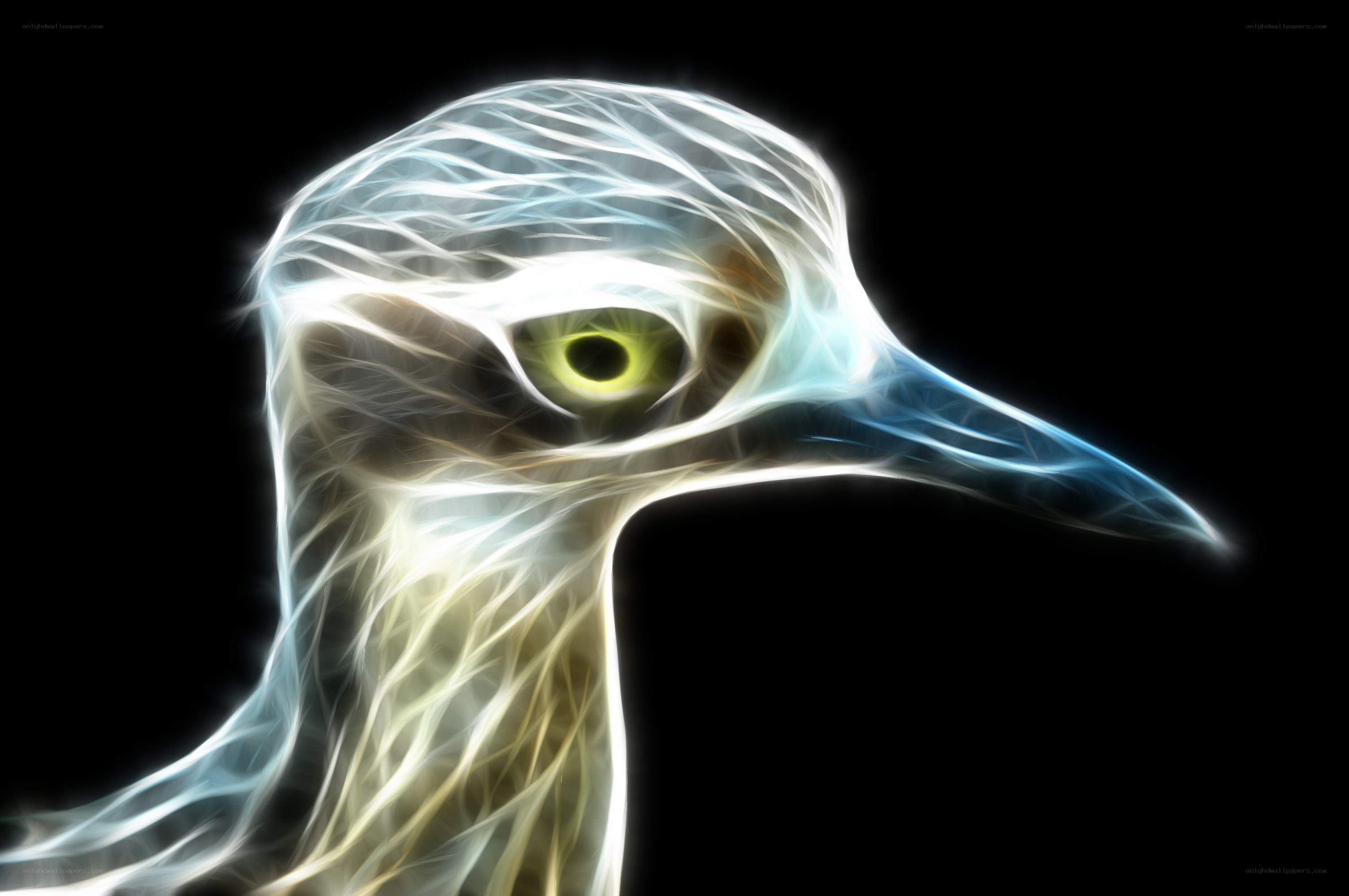 fractal bird head portrait