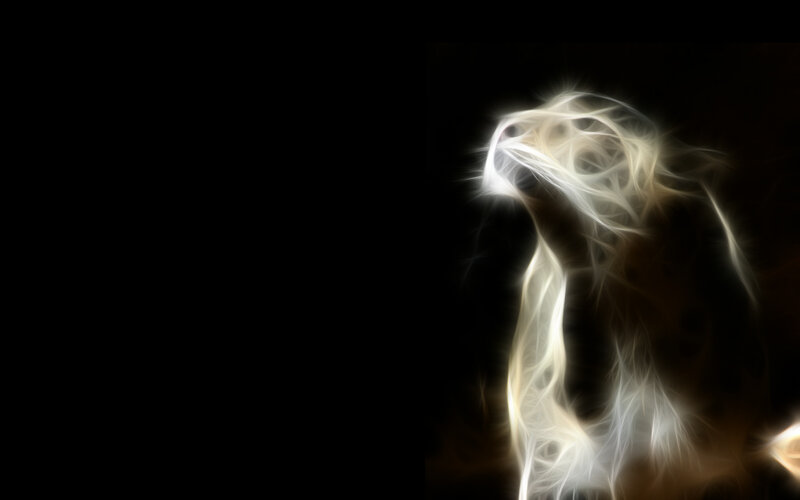 fractal bird in light