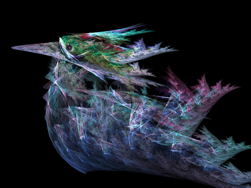 fractal bird in motion