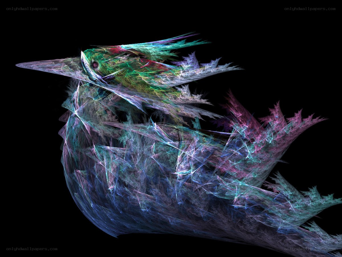 fractal bird in motion