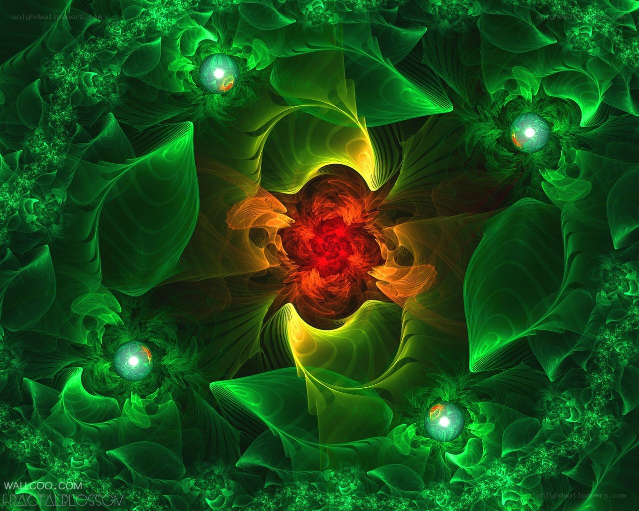 Fractal Blossom Art