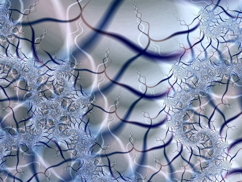 Fractal Branching Patterns
