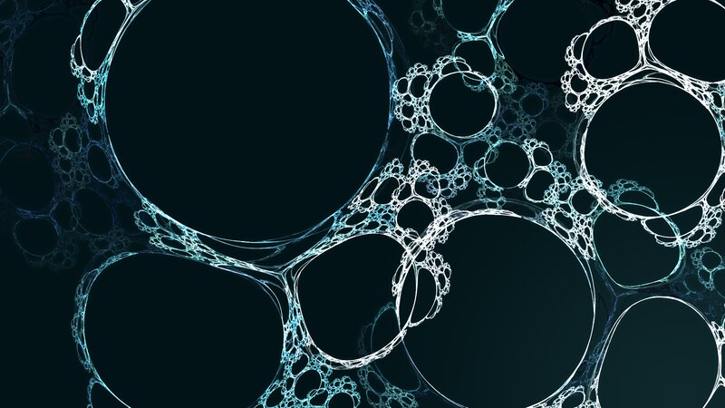 Fractal Bubble Network — Black