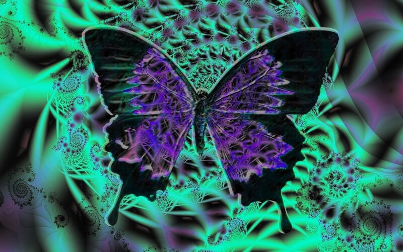 fractal butterfly art