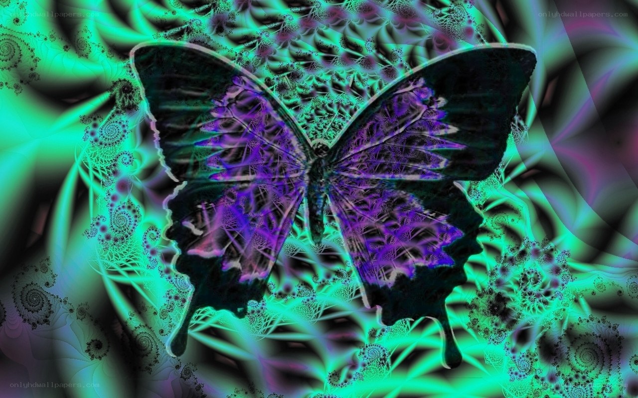 fractal butterfly art