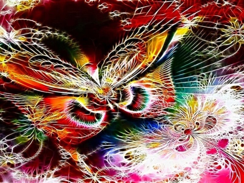Fractal Butterfly Design — Red