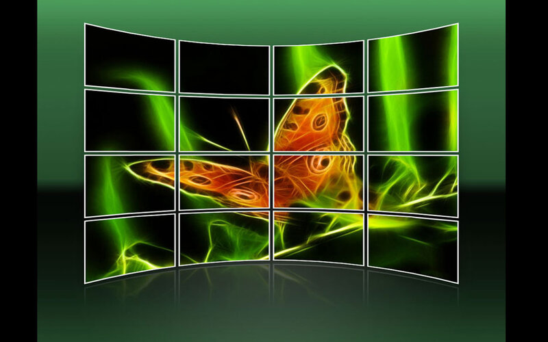 Fractal Butterfly Display