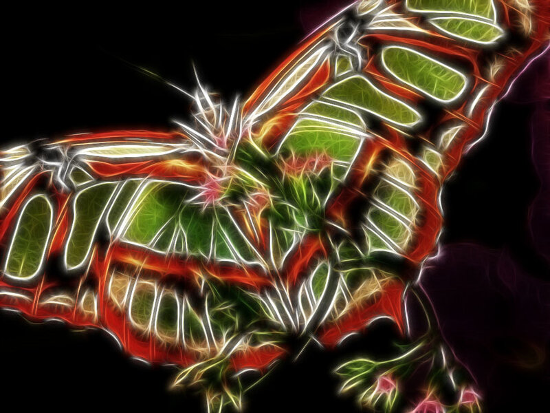 Fractal Butterfly — Green, Dramatic