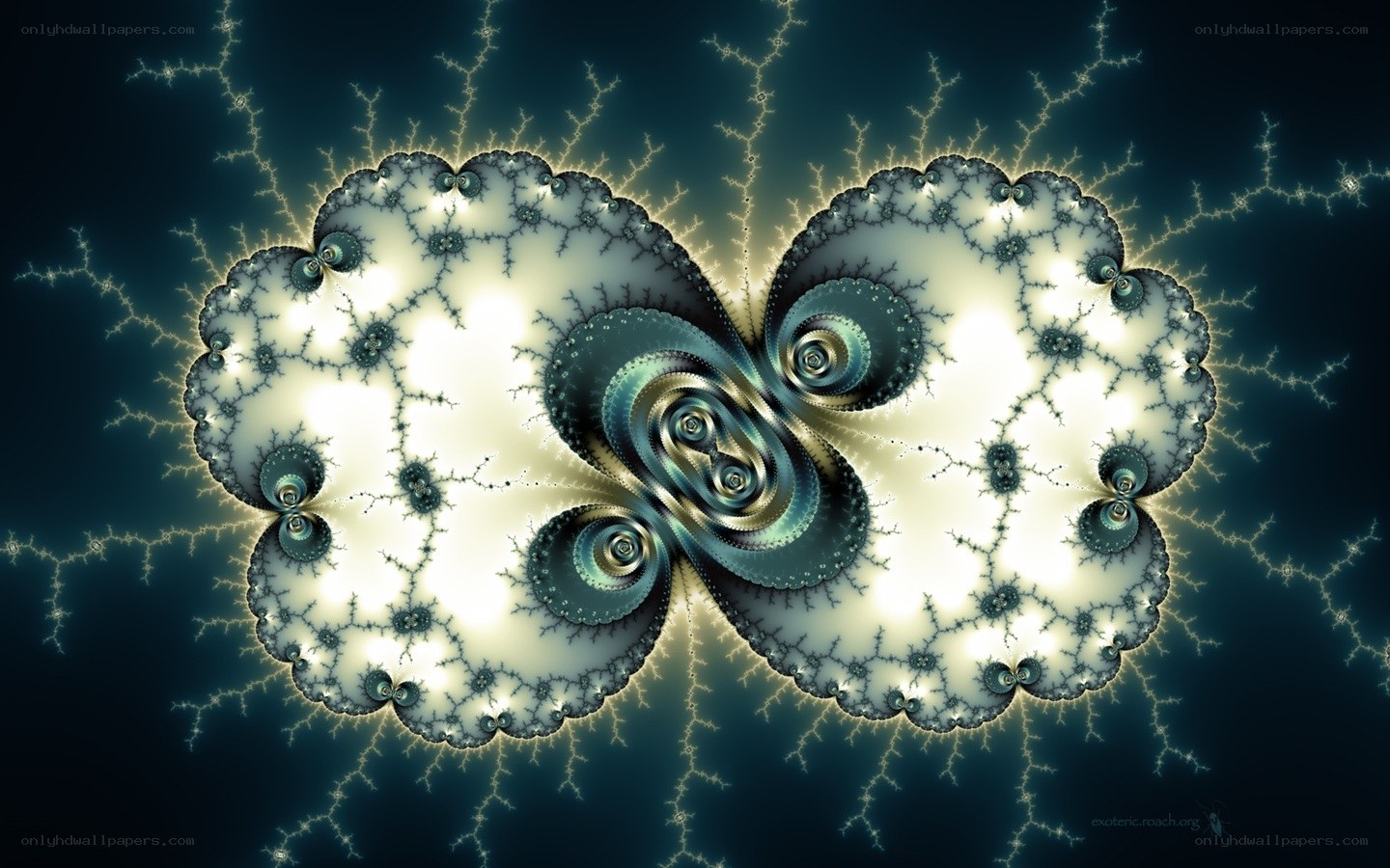 Fractal butterfly pattern