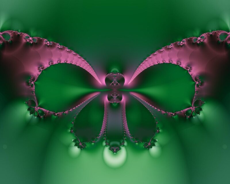 Fractal Butterfly Shape